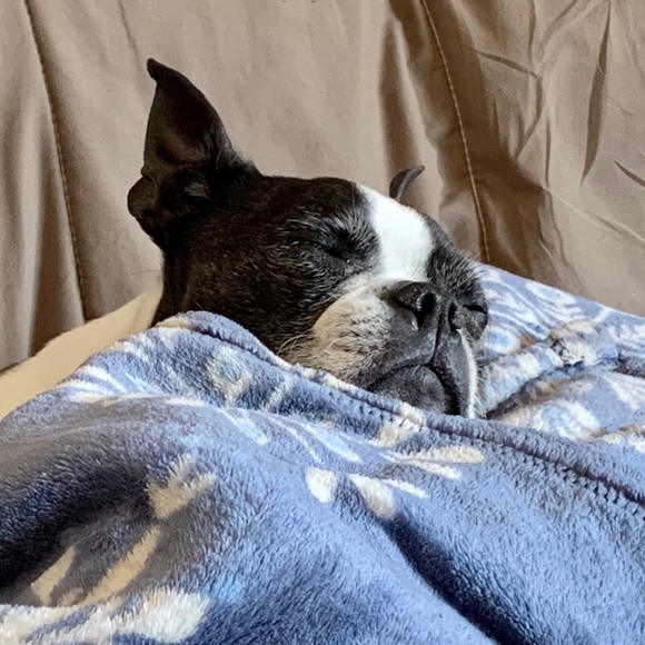 Meet your Posher, Jennifer - Picture 1 of 1